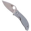 Spyderco Alcyone G-10 Grey, CTS BD1N Plain (C222GPGY)