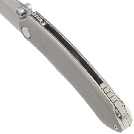 Nóż składany Remette Wild Species Gray Titanium, Hand Grinding M390 (WD108-G)