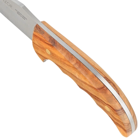 Nóż Muela Azor-13OL Olive Wood, Satin X50CrMoV15