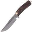 Muela Braco-11A Deer Stag Knife, Satin X50CrMoV15