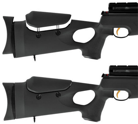 Hatsan AT44-10 4.5 mm PCP Air Rifle