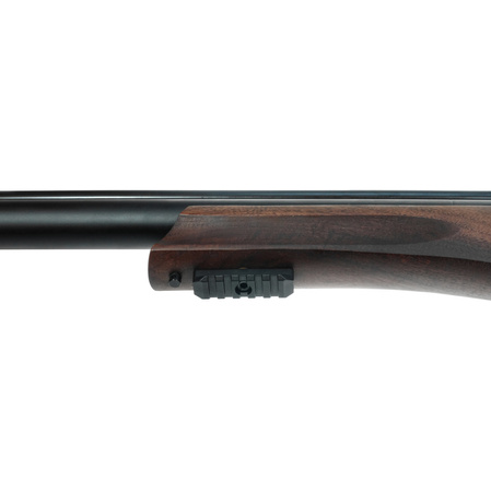 Reximex Daystar W RG 4.5mm PCP Air Rifle with Regulator