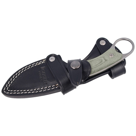 LionSteel H1 Canvas Green, Stonewashed M390 by Tommaso Rumici (H1 CVG)