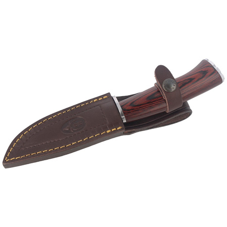 Muela Braco-11R Pakka Wood Knife, Satin X50CrMoV15