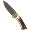 Nóż Muela Colibri COL-7A Deer Stag, Satin X50CrMoV15