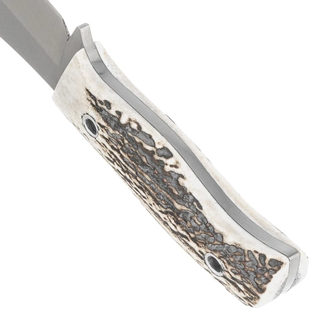 Muela Mustang-8A Knife Red Deer Stag, Satin X50CrMoV15