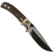 Muela Full Tang Knife with Dear Stag, Mirror 1.4116 (SETTER-11A)