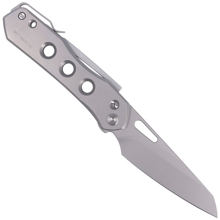 WE Knife Vision R Gray Titanium, Silver Bead Blasted CPM 20CV by Snecx Tan (WE21031-1)