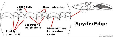 Spyderco Byrd Hawkbill FRN Black, SpyderEdge (BY22SBK)