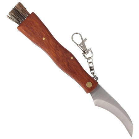 Mushroom knife Herbertz Solingen Folder 75mm (ART000158 - 251411)