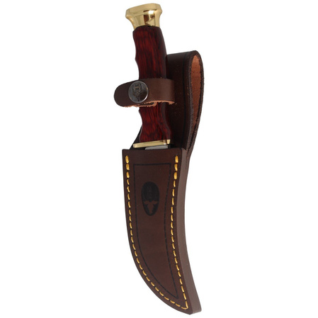 Muela Pakkawood, Satin X50CrMoV15 (DP-10M)