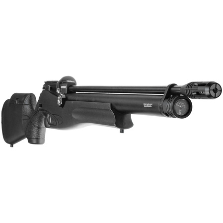 Reximex Daystar RG 4.5mm PCP Air Rifle with Regulator