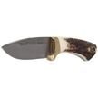 Muela Colibri COL-7A Deer Stag Knife, Satin X50CrMoV15