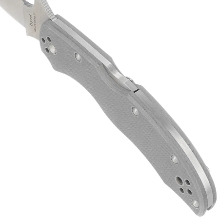 Nóż składany Spyderco Byrd Gooney Gray G10, Satin 9Cr14MoV by Sal Glesser (BY24GPGY)