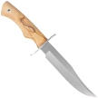 Nóż Muela CAZ-16.OL Olive Wood, Satin X50CrMoV15