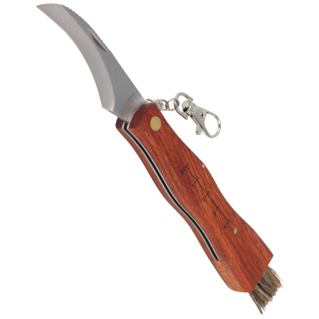 Mushroom knife Herbertz Solingen Folder 75mm (ART000158 - 251411)