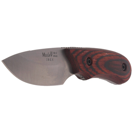 Nóż Muela Full Tang Pakkawood, Satin X50CrMoV15 (IBEX-8R)