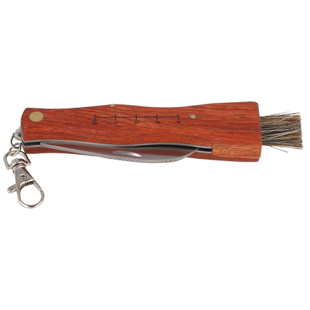 Mushroom knife Herbertz Solingen Folder 75mm (ART000158 - 251411)