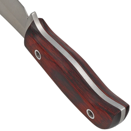 Muela Mustang-8R Red Pakka Wood, Satin X50CrMoV15 knife
