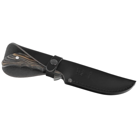 Nóż Muela Outdoor-12M Evergreen Pakka Wood, Satin X50CrMoV15